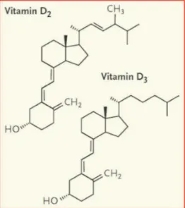Figure  2 :  structure  chimique  des  vitamine  D2  (ou  ergocalcifŽrol)  et  D3  (ou  cholŽcalcifŽrol) 2