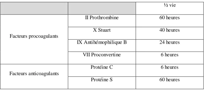 Tableau 1 - Demi-vie des facteurs vitamine K dépendant  ½ vie  Facteurs procoagulants  II Prothrombine  60 heures X Stuart 40 heures  IX Antihémophilique B  24 heures 