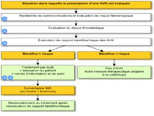 Figure 4 - Arbre décisionnel de prescription des AVK - Source Vidal Reco 2010