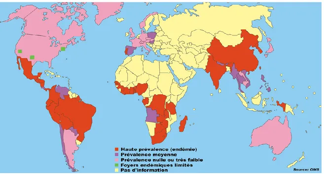 Figure 1 : distribution géographique de l’endémie cysticerquienne en 2002 (113). 