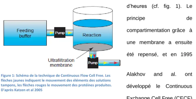 Figure 2: Schéma de la technique de Continuous  Exchange Cell Free. Les flèches Jaunes indiquent le  mouvement des éléments du tampon de nutrition