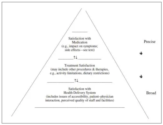 Figure 1  Shikiar et al; Hierarchy of levels of health satisfaction (23). 