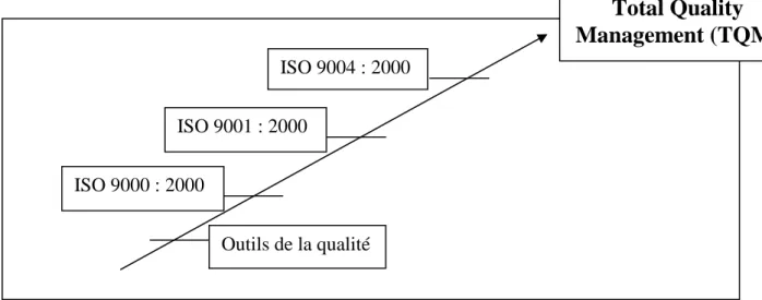 Figure 11 : Hiérarchisation des normes ISO 9000  vers le TQM [26] 