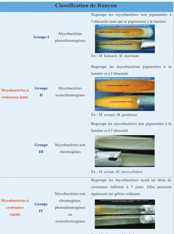 Tableau 1 : Classification de Runyon (Lerat, 2011) 