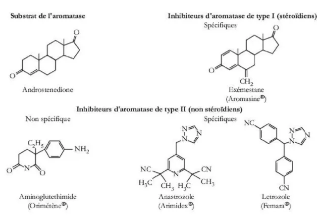 Fig 4 : structure chimique des inhibiteurs d’aromatase de type I et II 17