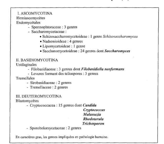Tableau 1.  Classification des levures d'après (53). 