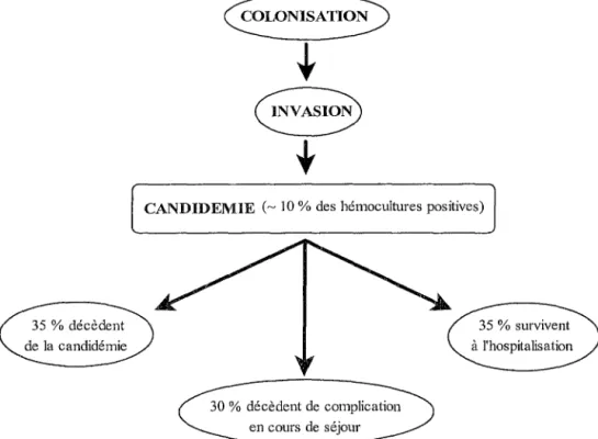 Figure 12. Pathogénie des candidoses systémiques (29,118). 