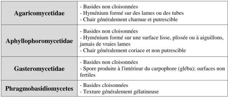 Tableau 1: Classification systématique des Basidiomycota (Roux, 2006) 