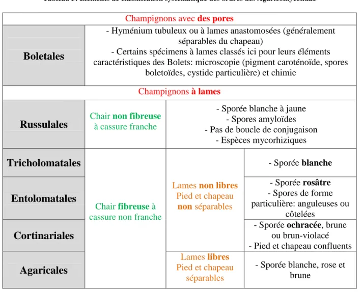 Tableau 3: Eléments de classification systématique des ordres des Agaricomycetidae 