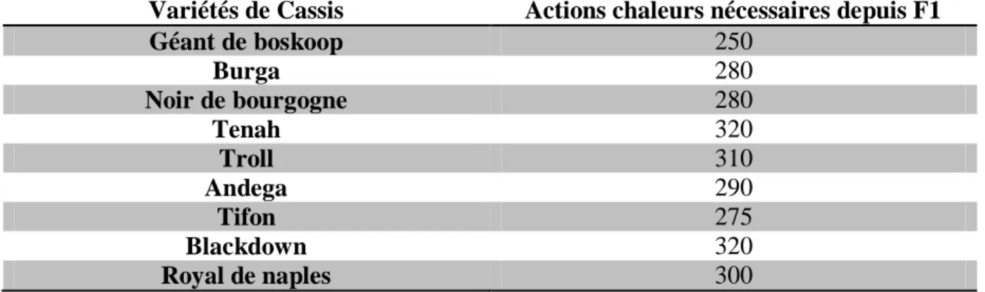 Tableau 2: Actions chaleur nécessaires de F1 jusqu’à maturation selon les variétés de cassis
