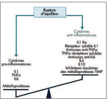 Figure 4 : cascades et régulations cytokiniques [7] 