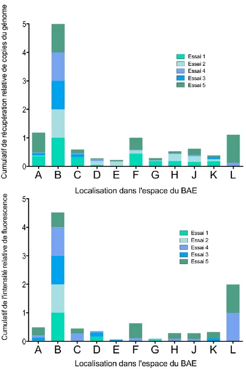 Figure 7. Été 2013. Variations du taux de récupération relative du nombre de copies de génome en fonction de la  localisation dans l’espace du BAE (graphique du haut)