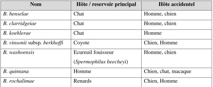 Tableau 1 : Les bartonelles du chien, du chat et de l’Homme (Maillard et al., 2005 ; La et al.,  2005) 
