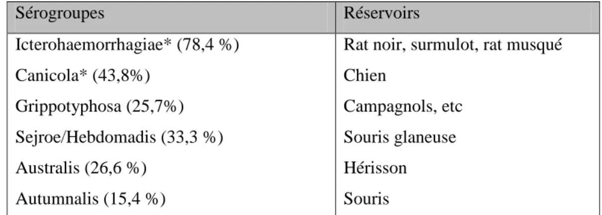 Tableau 7 : Prévalence des différents sérogroupes chez les chiens séropositifs en France (sur  le total d’animaux positifs) (André-Fontaine, 2002)
