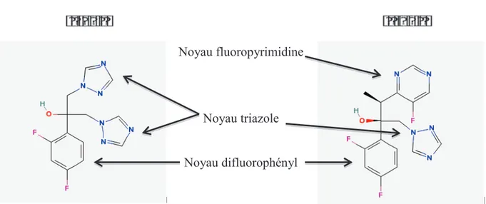 Figure 33 : Structures chimiques du fluconazole et du voriconazole (44) 