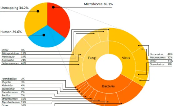 Figure 1: Composition microbienne des abcès cérébraux telle qu’identifiée par Lin et al
