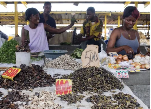 Figure 19 : Vente de chenilles sur un marché à Kinshasa en République démocratique du Congo – source : FAO 
