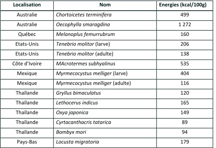 Tableau II : Teneur calorique (kcal) pour 100g de matière fraiche de différents insectes (79)