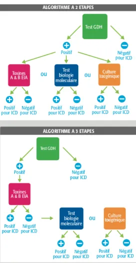 Figure XIII : Algorithmes recommandés pour le diagnostic des ICD en laboratoire (12) 