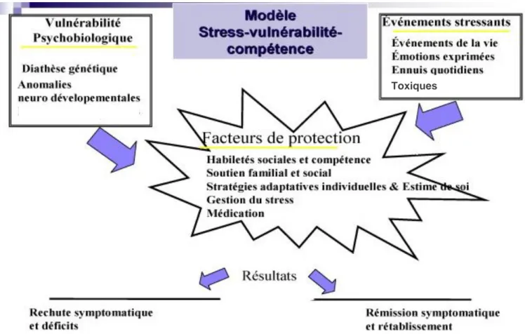 Figure 5 : schéma du modèle « stress-vulnérabilité-compétence » (15) 