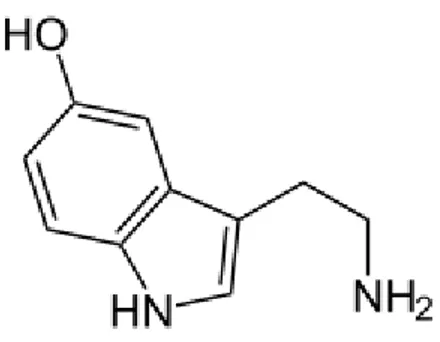 Figure 8 : schéma moléculaire de la sérotonine (31) 