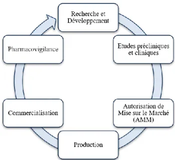 Figure 6 : Cycle de vie des médicaments 
