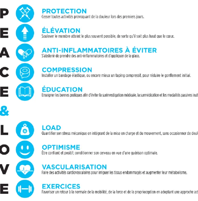 Figure 14 - PEACE &amp; LOVE : nouvel acronyme dans la prise en charge des lésions traumatiques (15) 