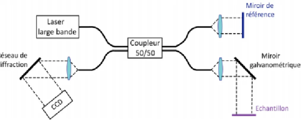 Figure 6 : Le système SD-OCT.  