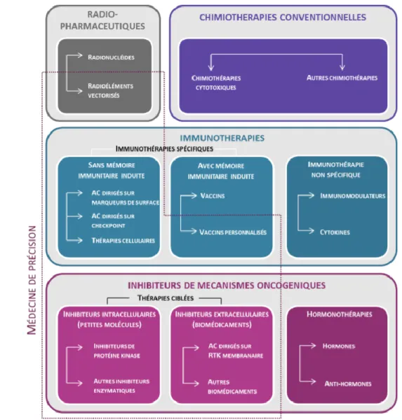 Figure 1 : Classification des médicaments anticancéreux (4) 