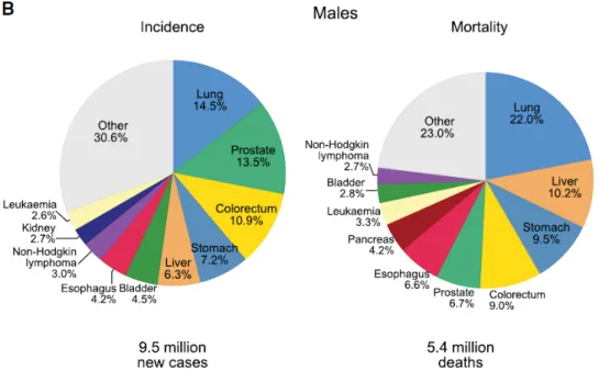 Figure 3 Diagramme circulaire présentant la distribution de l'incidence et des décès pour les 10 cancers les  plus communs pour la femme (C) 