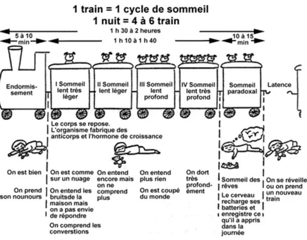 Figure 8 : Le train du sommeil (14) 