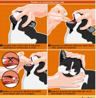 Figure 4 : Comment administrer un comprimé à un chat (19) 