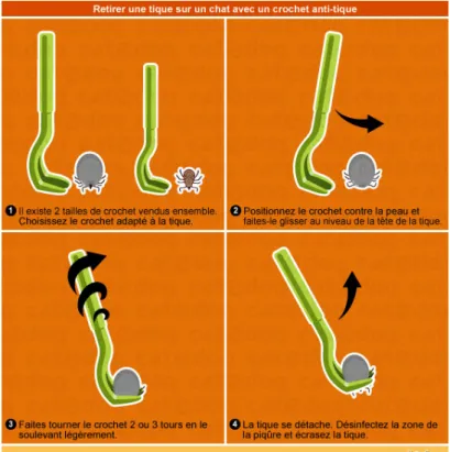 Figure 9 : Utilisation d'un tire-tique 