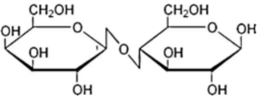 Figure 2 – Structure moléculaire du lactose  D’après Vilain – Qu’est ce que le lait ? – 2010 