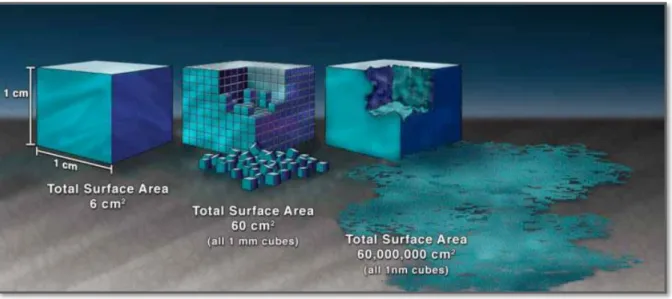 Figure 5 – Augmentation de la surface relative d’un matériau nanostructuré  [1]  