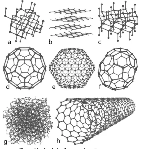 Figure 11 – Les huit allotropes du carbone : 