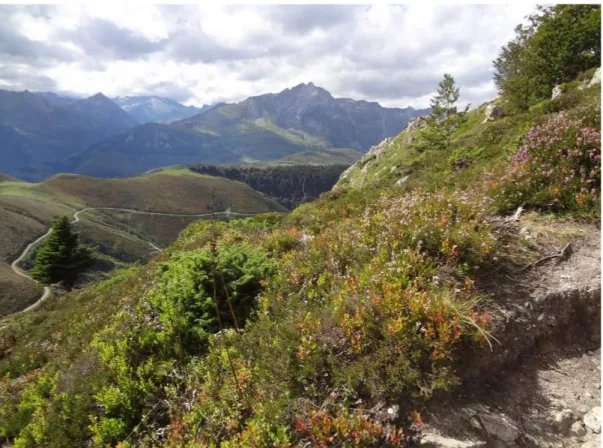 Figure 1: Parc national des Pyrénées Occidentales (photo personnelle) 