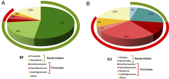 Figure 8 33  : Comparaison de la composition du microbiote fécal chez deux populations  d'enfants provenant d'un village du Burkina Faso (A)  