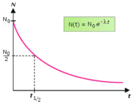 Figure  8  -  Loi  de  décroissance  radioactive.  Où  N(t)  est  le  nombre  d’atome  à  l’instant  t,  N 0   le  nombre  d’atome  initialement présents, e la constante d’Euler, λ le taux de décroissance de l’isotope considéré, et t le temps