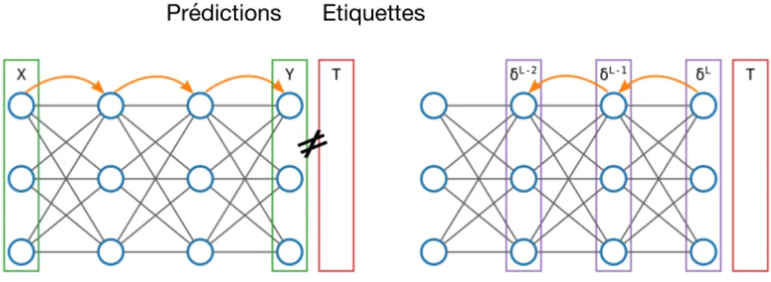 Figure 11: La rétropropagation appliquée aux réseaux profonds.  