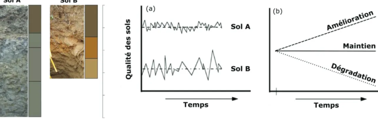 Figure 1.3. Conceptualisation de la qualité inhérente de deux sols différents (a) et de la qualité dynamique des  sols évoluant en fonction du temps (a et b) (adaptée de Karlen et al