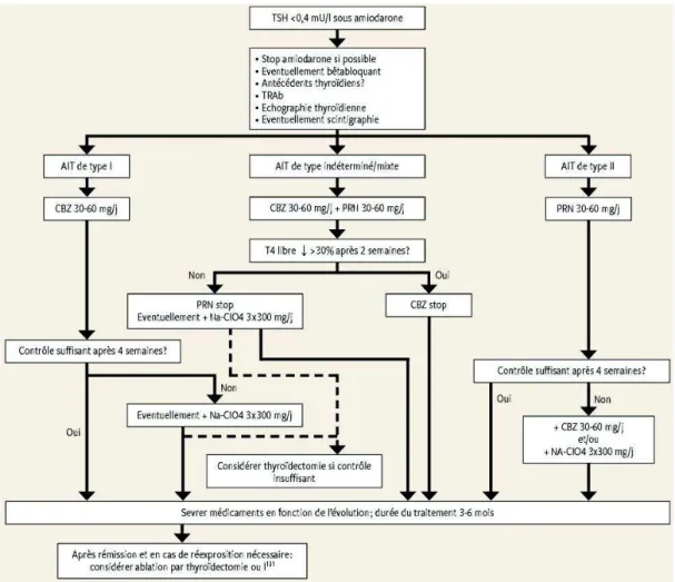 Figure n°13 : Algorithme de la prise en charge de l’hyperthyroïdie sur amiodarone  