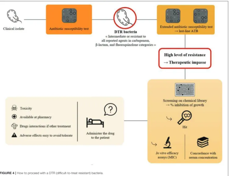 FIGURE 4 | How to proceed with a DTR (difficult-to-treat resistant) bacteria.