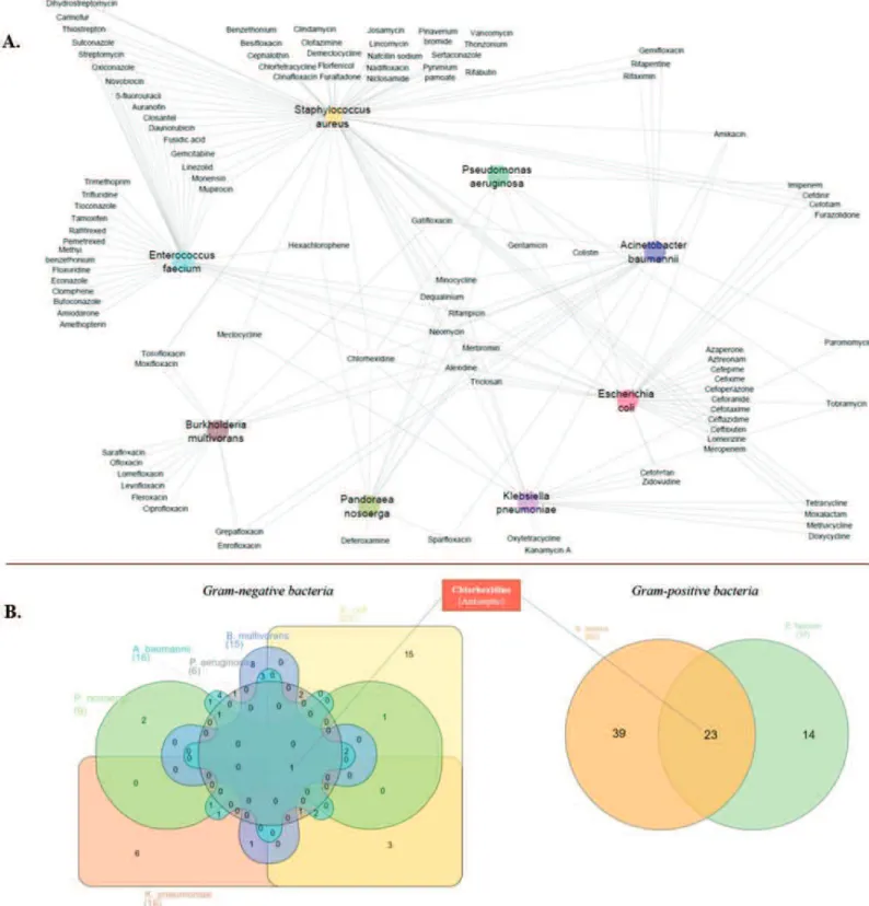 Figure 2. Common compounds between all GP and GN bacteria. A. Name of the hits between 647