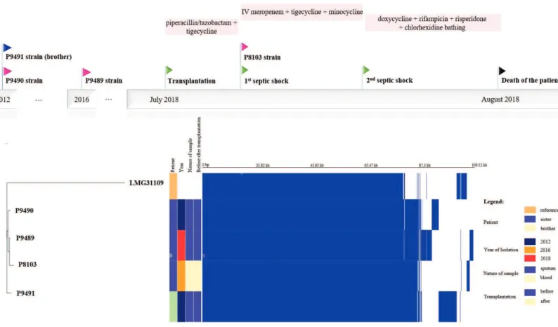 Figure 1. A. Timeline of clinical management of the patient. B. Phylogenetic tree based on 224