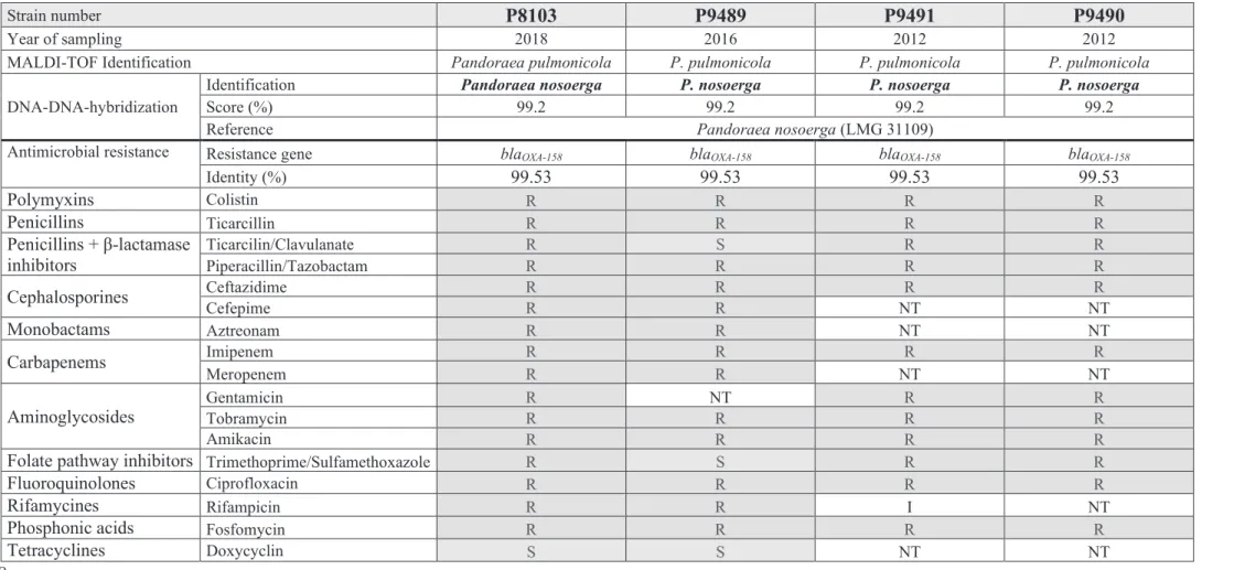 Table S1. Bacterial identification and antibiotic susceptibility of our strains. NT: non tested.