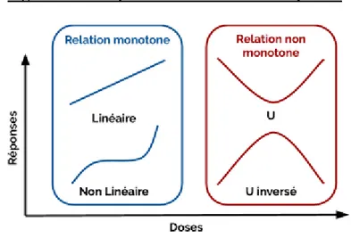 Figure 2 - Exemples de relations Doses-Réponses 