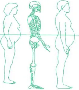Figure 3: Mesure de la circonférence de la taille 