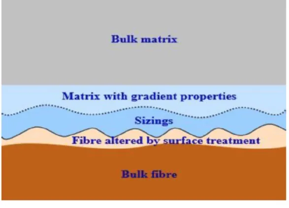 Figure 1.7. Typical structure of a fiber-matrix interface [36]. 