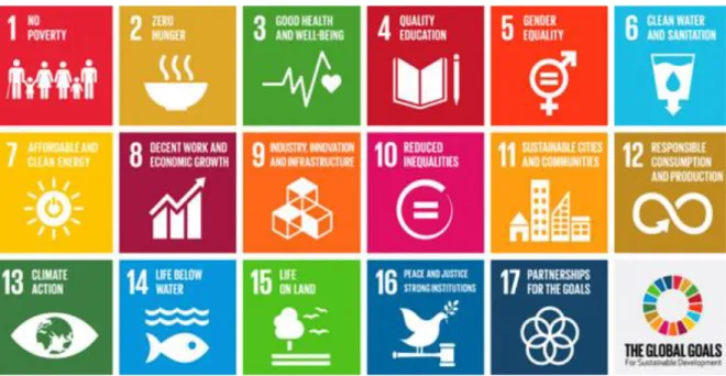 Figure 10 Les Objectifs de développement durable de l'OMS à atteindre à l’horizon 2030 (61) 
